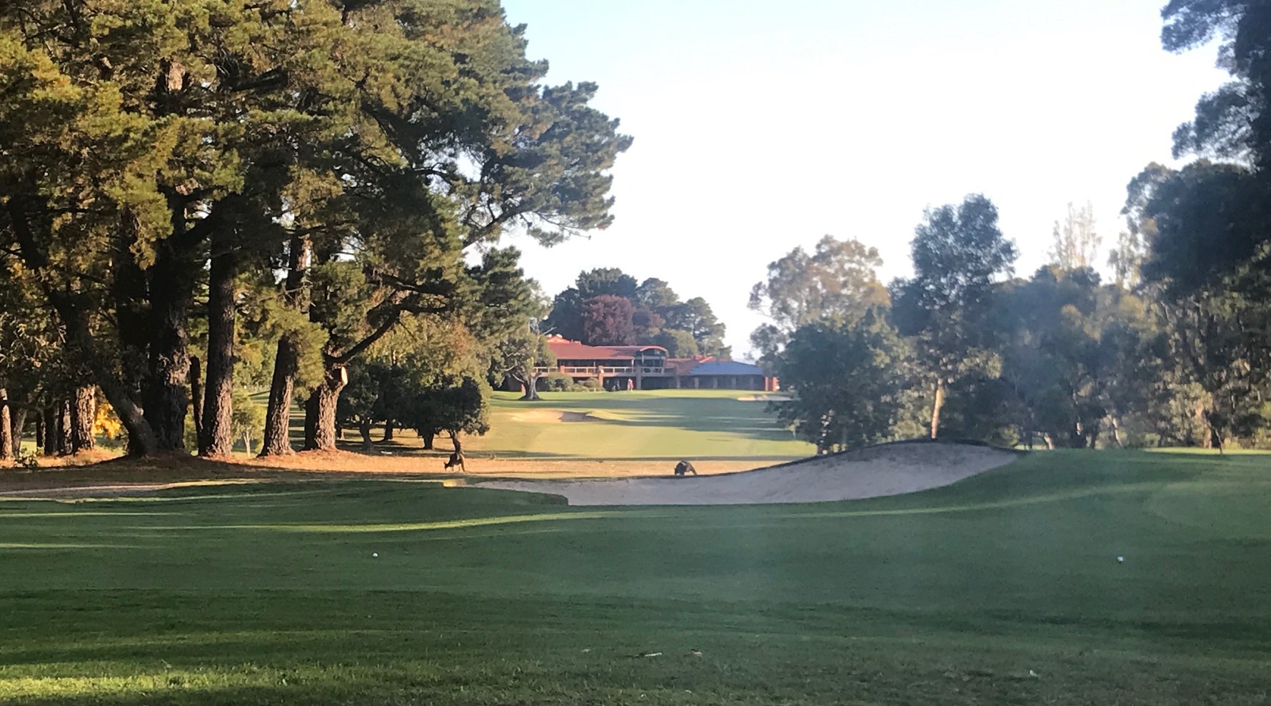 Blackwood Golf Club South Australia